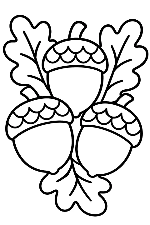 Three big acorns with oak leaves coloring page