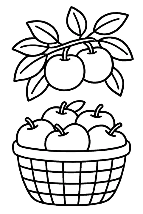 Apples on a branch and a basket of apples coloring page