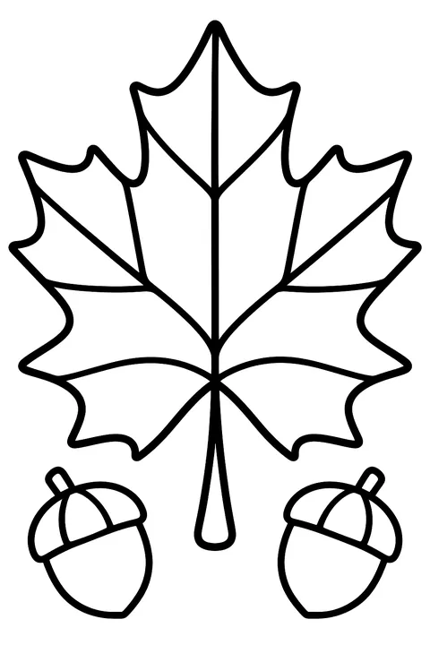 A large maple leaf with veins dividing it into sections, with two small acorns below coloring page