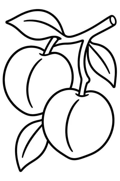 two peaches on a branch with leaves coloring page