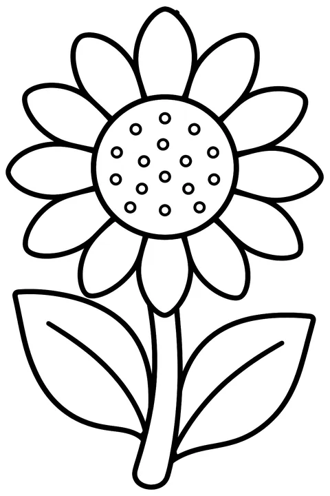 a single sunflower with big petals and leaves coloring page