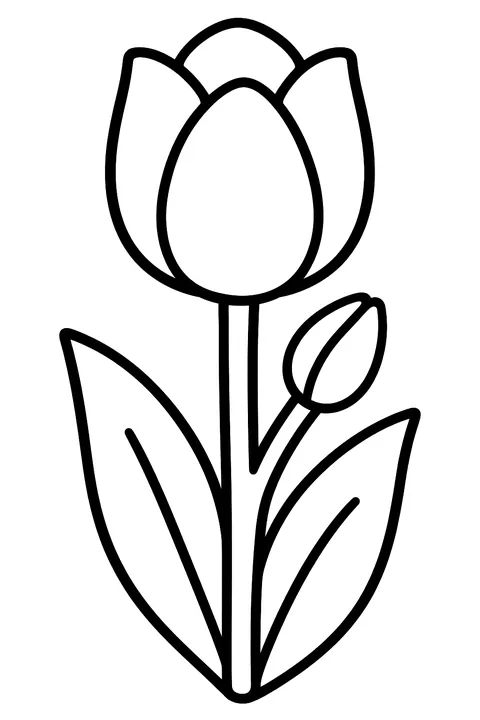 a single tulip with two leaves and a small bud coloring page