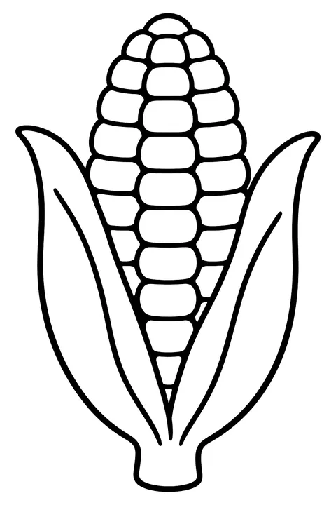an ear of corn with husk leaves coloring page